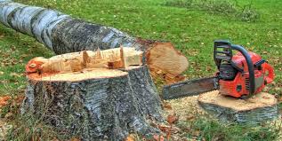 Best Residential Tree Removal  in Negaunee, MI